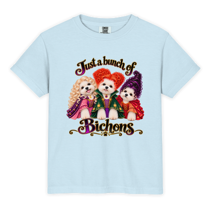 Just a Bunch of Bichons - Youth
